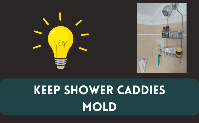 Do Plastic Shower Caddies Mold?